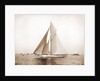 Vigilant rounding outer mark, Vigilant (Yacht) by Anonymous