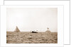 Valkyrie and Vigilant, after the start, Vigilant (Yacht) by Anonymous