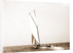 Columbia (Sloop), 1899 by Anonymous
