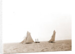 Start, The, Defender (Yacht) by Anonymous