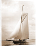 Shamrock I (Yacht) by Anonymous