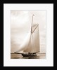 Shamrock I (Yacht) by Anonymous