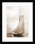 Shamrock I (Yacht) by Anonymous