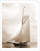Shamrock I (Yacht) by Anonymous