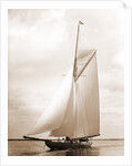 Shamrock I (Yacht) by Anonymous