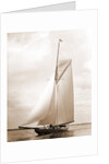 Shamrock I (Yacht) by Anonymous
