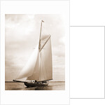 Shamrock I (Yacht) by Anonymous