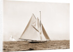 Shamrock I, setting top sail by Anonymous