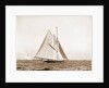 Shamrock I, setting top sail by Anonymous