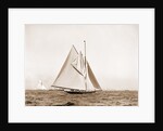 Shamrock I, setting top sail by Anonymous