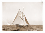 Shamrock I, setting top sail by Anonymous