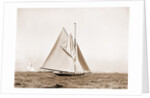 Shamrock I, setting top sail by Anonymous