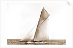 Columbia setting spinnaker boom, Oct. 3, 1899 by Anonymous