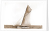 Columbia setting spinnaker boom, Oct. 3, 1899 by Anonymous