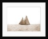 Shamrock I and Columbia, the start, Columbia (Sloop), Shamrock I (Yacht) by Anonymous
