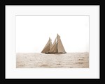 Shamrock I and Columbia, the start, Columbia (Sloop), Shamrock I (Yacht) by Anonymous
