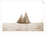 Shamrock I and Columbia, the start, Columbia (Sloop), Shamrock I (Yacht) by Anonymous