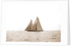 Shamrock I and Columbia, the start, Columbia (Sloop), Shamrock I (Yacht) by Anonymous