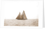 Shamrock I and Columbia, the start, Columbia (Sloop), Shamrock I (Yacht) by Anonymous