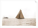 Columbia and Shamrock I on the line, Columbia (Sloop), Shamrock I (Yacht) by Anonymous