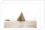 Columbia and Shamrock I on the line, Columbia (Sloop), Shamrock I (Yacht) by Anonymous