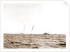 Columbia and Shamrock I coming for the line, Columbia (Sloop), Shamrock I (Yacht) by Anonymous
