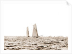 Columbia and Shamrock I, a luffing match, Columbia (Sloop), Shamrock I (Yacht) by Anonymous