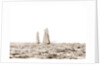 Columbia and Shamrock I, a luffing match, Columbia (Sloop), Shamrock I (Yacht) by Anonymous