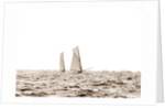 Columbia and Shamrock I, a luffing match, Columbia (Sloop), Shamrock I (Yacht) by Anonymous