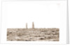 Columbia and Shamrock I, luffing into the excursion fleet, Columbia (Sloop), Shamrock I (Yacht) by Anonymous