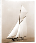 Shamrock I (Yacht) by Anonymous