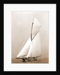 Shamrock I (Yacht) by Anonymous