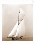 Shamrock I (Yacht) by Anonymous