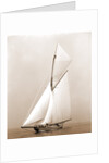 Shamrock I (Yacht) by Anonymous