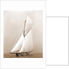 Shamrock I (Yacht) by Anonymous