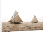 Shamrock I and Columbia at the start, Columbia (Sloop), Shamrock I (Yacht) by Anonymous