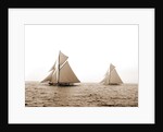 Shamrock I and Columbia at the start, Columbia (Sloop), Shamrock I (Yacht) by Anonymous