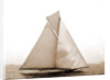 Columbia coming for the finish, Columbia (Sloop), 1899 by Anonymous