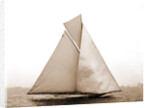 Columbia coming for the finish, Columbia (Sloop), 1899 by Anonymous