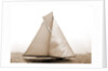 Columbia coming for the finish, Columbia (Sloop), 1899 by Anonymous