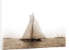 Shamrock I crossing finishing line, Shamrock I (Yacht) by Anonymous