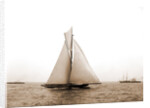 Shamrock I crossing finishing line, Shamrock I (Yacht) by Anonymous