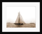 Shamrock I crossing finishing line, Shamrock I (Yacht) by Anonymous
