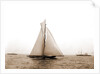 Shamrock I crossing finishing line, Shamrock I (Yacht) by Anonymous
