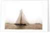 Shamrock I crossing finishing line, Shamrock I (Yacht) by Anonymous