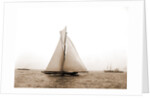 Shamrock I crossing finishing line, Shamrock I (Yacht) by Anonymous