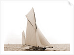 Columbia and Shamrock I maneuvering before the start, Columbia (Sloop), Shamrock I (Yacht) by Anonymous