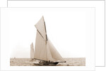 Columbia and Shamrock I maneuvering before the start, Columbia (Sloop), Shamrock I (Yacht) by Anonymous