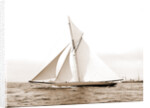 Shamrock I coming for the line, Shamrock I (Yacht) by Anonymous