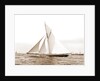 Shamrock I coming for the line, Shamrock I (Yacht) by Anonymous